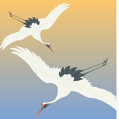 Ptáci na podzim a v zimě